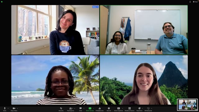 A screenshot of the Zoom call of the last PIReT meeting.